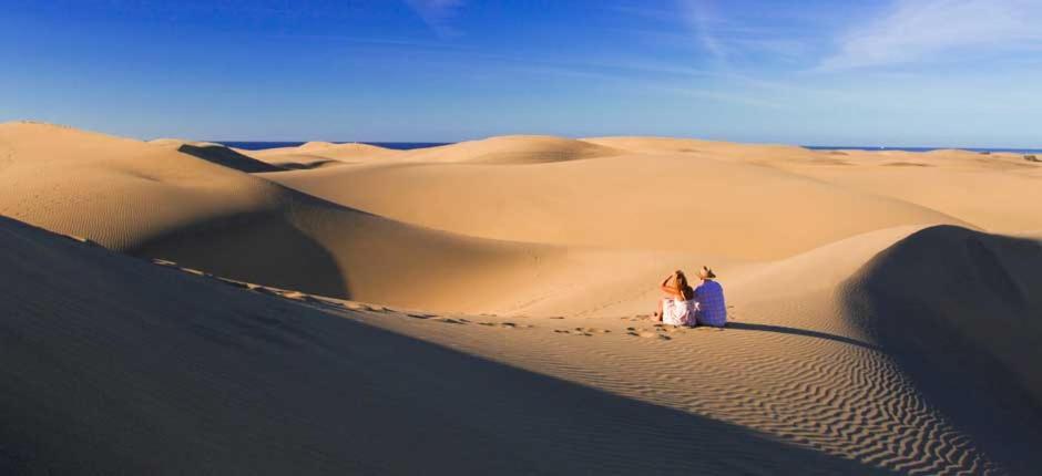 Bungalows Playa Flor, Campo Internacional, Maspalomas. Maspalomas  Zewnętrze zdjęcie